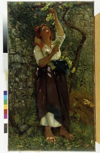 The Pruning of Vines