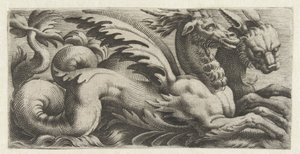 Two Sea Creatures Side by Side by Giovanni Andrea Maglioli