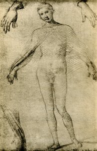 Model Study for a Virgin Mary as Mater Misericordiae by Giovanni Antonio Bazzi Sodoma
