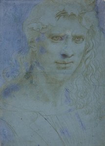 Bust of young crowned with thorns and vine shoots