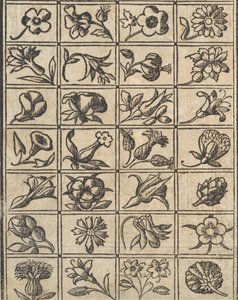 Example of Embroidery, page 10 verso, 1530