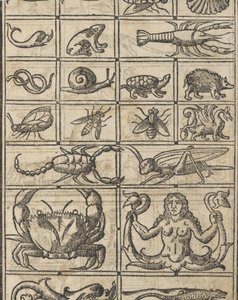 Essempio di recammi, page 11 recto