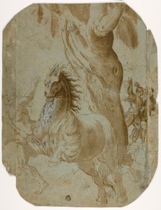 Conversion of St. Paul (recto); Man Seen from Back (verso) by Giovanni Antonio da Pordenone