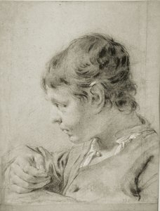 Portrait of a Young Boy