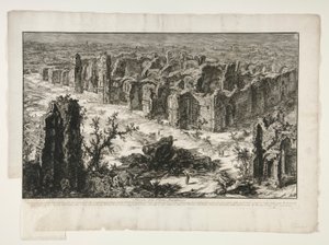 Ruins of the Antonine Baths, from Views of Rome