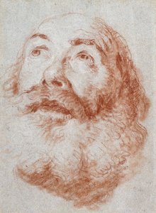 Head of an Old Man Looking Up