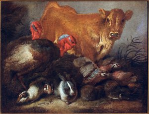 Study of Animals: Cow, Turkey, Rabbit