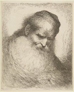 Head of a Bearded Old Man by Giovanni Benedetto Castiglione