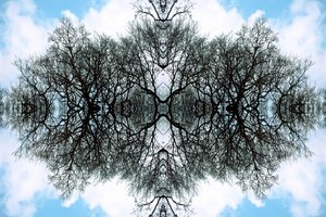 Unnatural 100 by Giovanni Cafagna