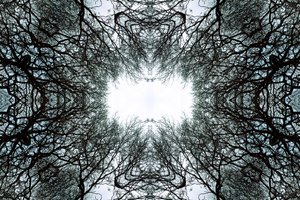 Unnatural 101 by Giovanni Cafagna