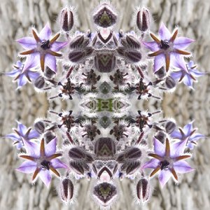 Unnatural 159 by Giovanni Cafagna