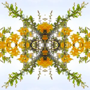 Unnatural 175 by Giovanni Cafagna