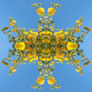Unnatural 193 by Giovanni Cafagna