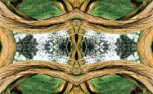 Unnatural 37 by Giovanni Cafagna