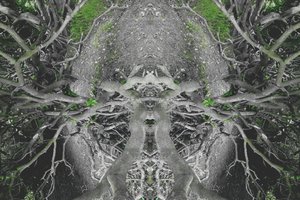 Unnatural 42 by Giovanni Cafagna