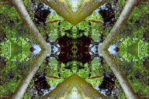 Unnatural 65.3 by Giovanni Cafagna