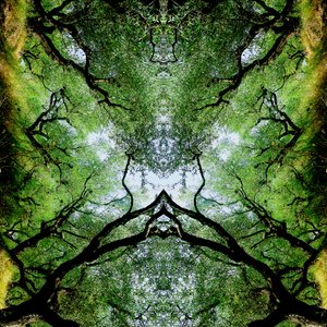 Unnatural 75 by Giovanni Cafagna