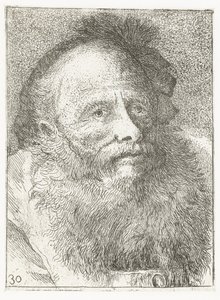 Man with Beard and Feathered Headgear