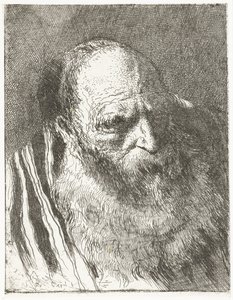 Man with Beard in Striped Cloak (series title: Collection of Heads)