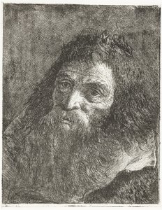 Man with Long Hair and Beard by Giovanni Domenico Tiepolo