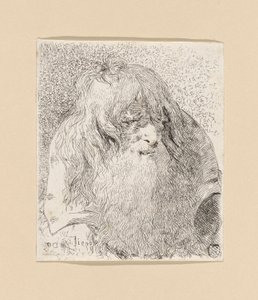 Old Man with a Beard and Long Hair, from the Raccolta di Teste (Collection of Heads) by Giovanni Domenico Tiepolo
