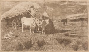Oxen Yoked to a Cart (Maremma) by Giovanni Fattori