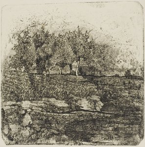Trees in a Meadow