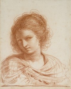 Head of a Young Woman