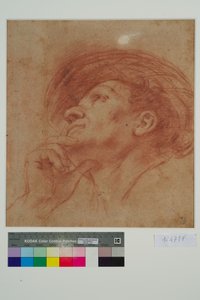 Study for the Head of the Prophet Haggai by Giovanni Francesco Barbieri