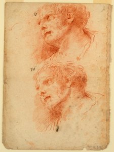 Four Studies After the Head of a Man
