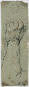 Study: An Erected Forearm and Left Hand Holding Something by Giovanni Maria Viani