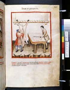 Theatrum Sanitatis by Ububchasym de Baldach: 