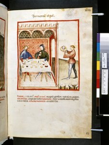 Theatrum sanitatis by Ububchasym de Baldach: 