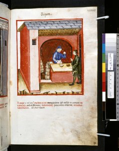 Theatrum sanitatis by Ububchasym de Baldach: 