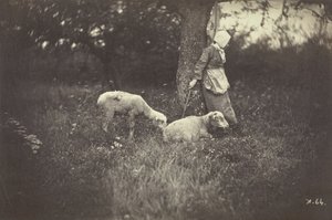 Shepherdess Leaning Against a Tree, with Two Sheep