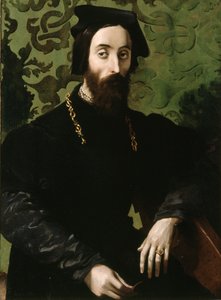 Portrait of a Musician by Girolamo Mazzola (attr.) Bedoli