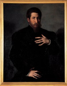 Portrait of a Virile Man by Girolamo da Carpi