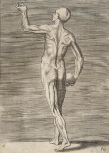Man Seen from the Back, Holding a Skull in His Right Hand