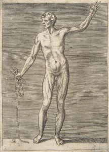 Man seen from the Front, holding a Rope in his right Hand by Giulio Bonasone