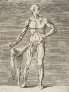 Man Seen from the Front, Holding the Skin of His Right Arm and Leg in His Right Hand by Giulio Bonasone