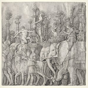 The Triumphs of Caesar: The Elephants
