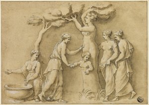 Birth of Adonis