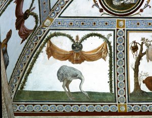 Camera con Fregio di Amorini, Ostrich (detail) by Giulio Romano