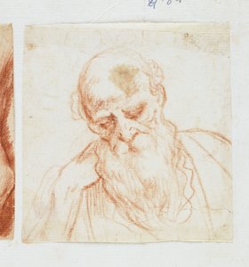 Head of a Bearded Man Looking Down