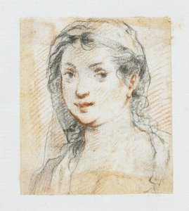 Head of a Woman by Giuseppe Cesari