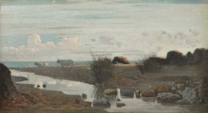 Lido with oxen grazing