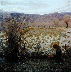 Field in Bloom