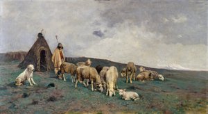 Mountain Pastures