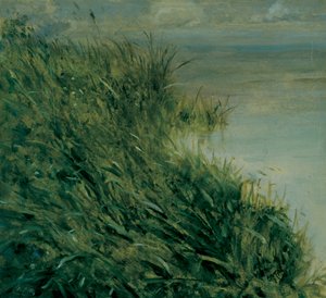 Study of Marsh by Giuseppe or Joseph de Nittis