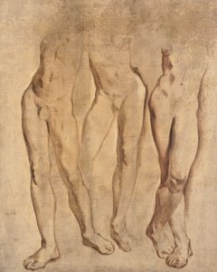 Three Studies of a Male Nude (c. 1923-24)